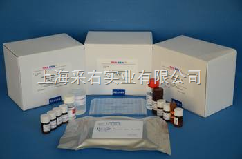豚鼠免疫球蛋白E(IgE)Elisa試劑盒 專業(yè)檢測工具的產(chǎn)品報(bào)價(jià)與上海采右實(shí)業(yè)服務(wù)解析
